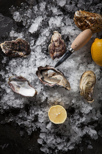 UMI Oysters: обновленная коллекция устриц!