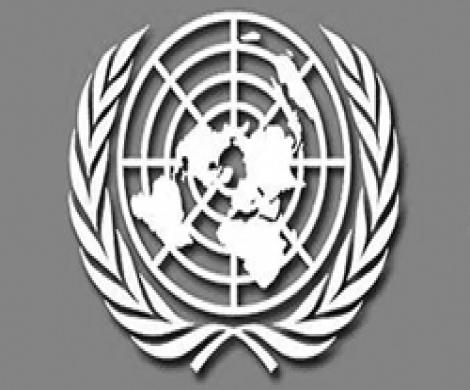 БПЛА «долетел» до ООН