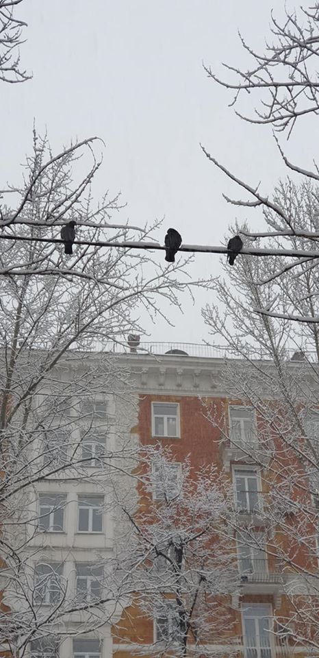 Василий Устюжанин: Московский дворик. Юго-западный
