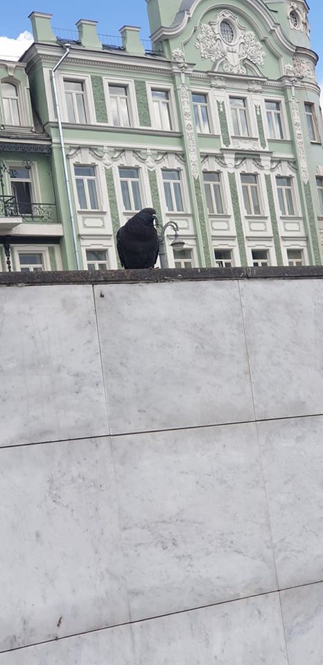 Василий Устюжанин: Москва. Индекс самоизоляции 5.0. Какая боль, какая боль!