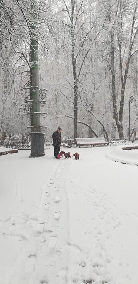 Василий Устюжанин: Московский дворик. Юго-западный