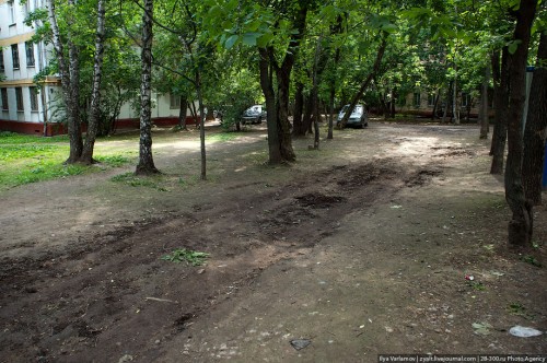 Кац прищучил Щукино