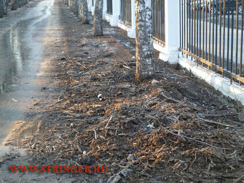 Итоги реконструкции улиц и парков Москвы: Войковская, ВДНХ