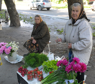 Дачники против мытарей