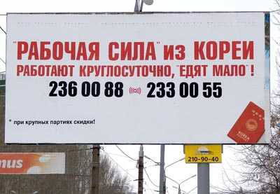 Вот тебе, бабушка, и борьба с нелегалами