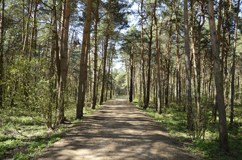 Блеск и нищета ЦФО. Тверской разлом