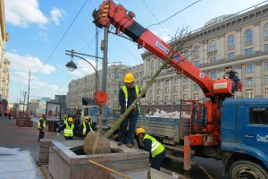 Уроки освоения «зеленых» миллионов