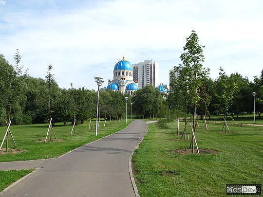 Уроки освоения «зеленых» миллионов