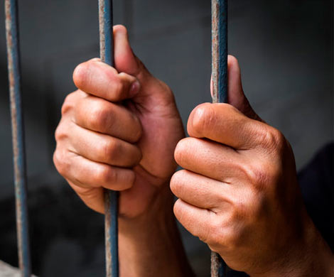 Адвокаты Александры Лисицыной получили заключение экспертов из кадастровой палаты