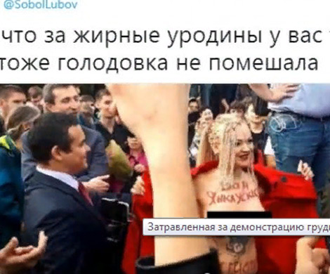 Активистка разделась на Трубной с одобрения оппозиции, уверен представитель РПЦ