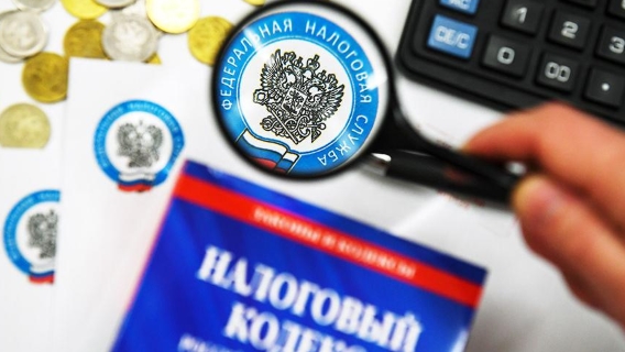 Аудиторы Счетной палаты нашли в России сотни необъяснимых неналоговых сборов