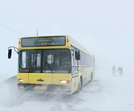 «Заяц» - тоже человек