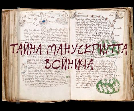Британский ученый расшифровал рукопись Войнича?