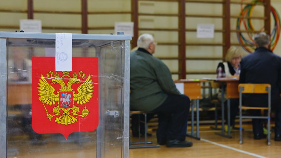 ЦИК проверит дачные участки для петербуржцев