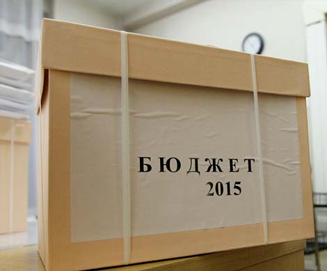Депутаты Госдумы раскритиковали проект бюджета-2015 