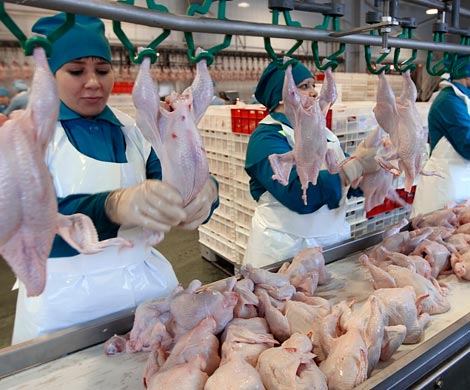 ФАС начала внеплановую проверку производителей мяса птицы