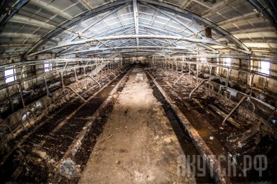 Конфликт интересов главы Якутии озолотил его брата