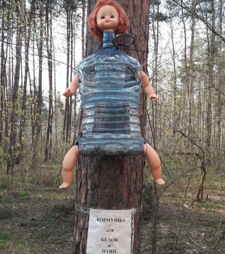 Кормушка из фильма ужасов испугала жителей Воронежа