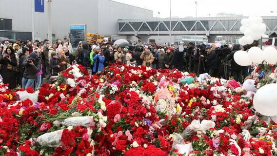 Летит по небу журавлиный клин и подает нам голоса