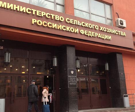 Минсельхоз рассказал о росте цен с начала года