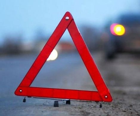 На автодороге Мартьяново — Урицкое в результате ДТП погиб человек