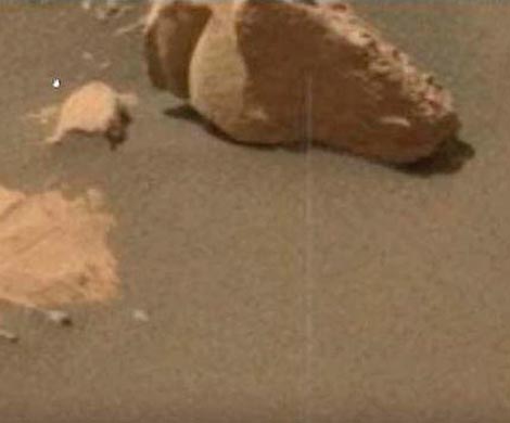 На Марсе нашли загадочную голову львицы