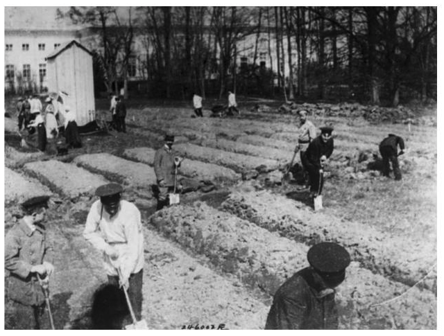 На обломках самовластья: николаевы посевы