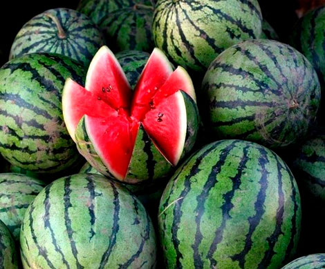 Названы девять продуктов, продлевающих молодость