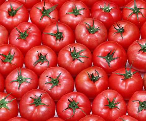 Названы лучшие продукты против старения организма