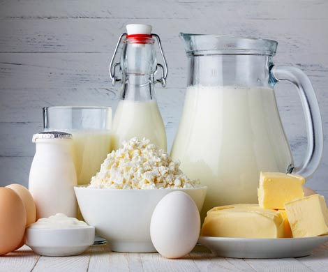 Названы продукты, которые лучше всего съедать перед тренировкой
