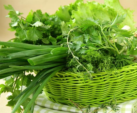 Названы самые опасные летние продукты, которые приводят к отравлениям