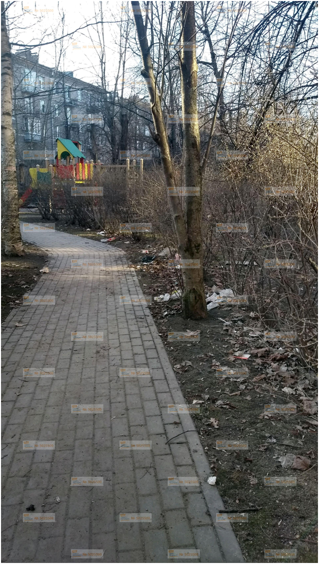 Петербург продолжает «тонуть» в горах мусора. Смольный так и не смог за полтора месяца организовать качественную уборку