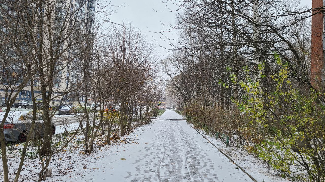 По документам – осень. Петербуржцы назвали причину неготовности Смольного к первому снегу