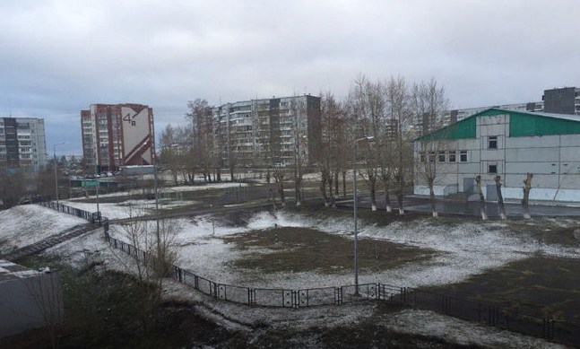 Под Красноярском ночью выпал снег