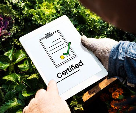 Производители органических продуктов будут обязаны проходить сертификацию