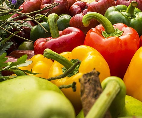 РФ запрещает реэкспорт продукции растениеводства из Африки