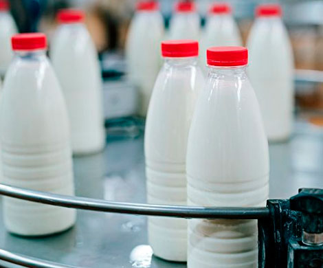 Роскачество проверило продукцию с заменителями молочного жира