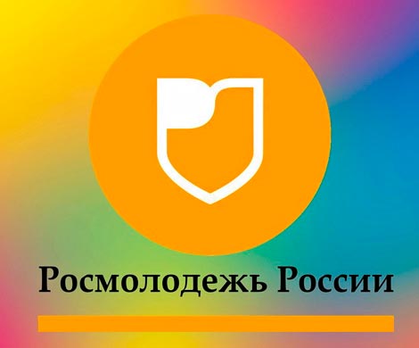 Росмолодежь будет подчиняться напрямую Медведеву