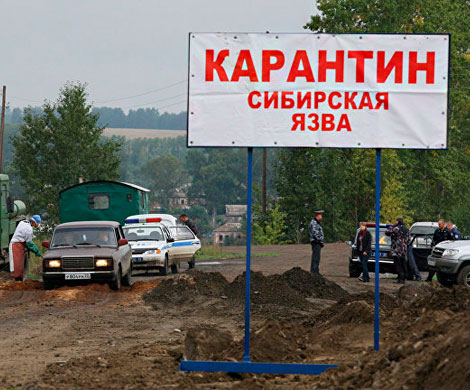 Роспотребнадзор предупредил о вспышке сибирской язвы на Украине‍