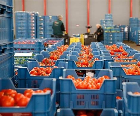 Россия не будет расширять список стран под продэмбарго 
