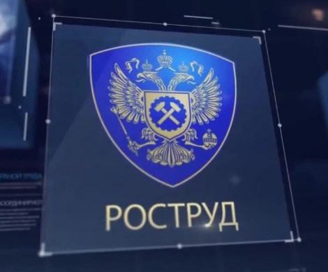 Россиян вынудят работать дольше: Роструд дал пояснения