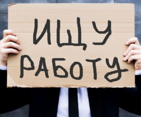 Россияне массово заявляют о проблемах с трудоустройством после вуза