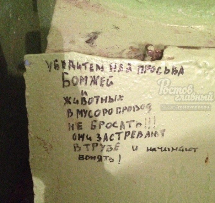 Ростовчан попросили не бросать собак и бомжей в мусоропровод