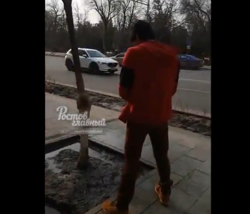 Ростовчане возмутились парнем в центре города, удобряющим деревья со спущенными штанами