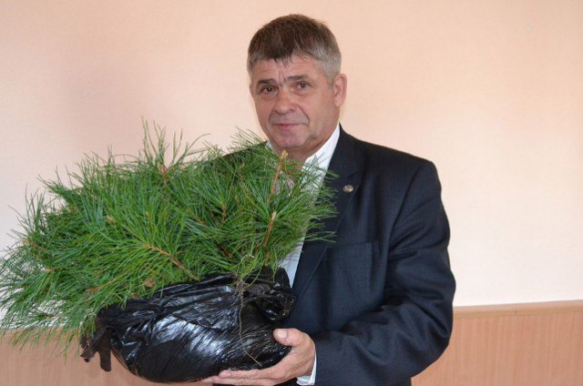 Сахалин не станет кедровым раем
