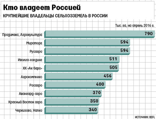 «Семейный подряд» главы Минсельхоза