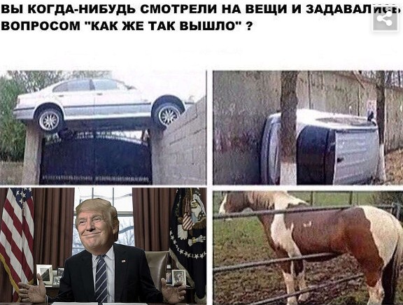 Сеть буквально разрывает от смешных картинок на тему выборов президента США