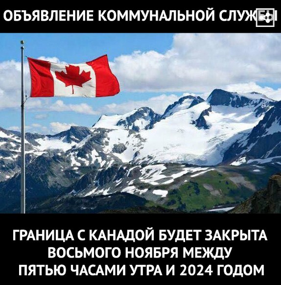 Сеть буквально разрывает от смешных картинок на тему выборов президента США