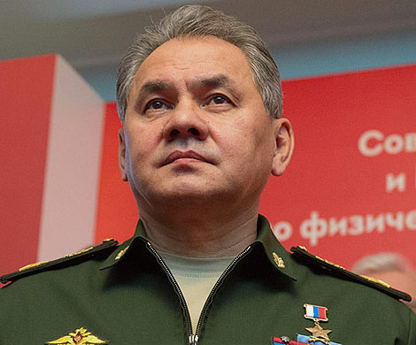 Шойгу назвал главные итоги года операции в Сирии