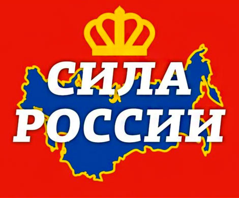 «Сила России» - партия «неизвестных отцов» 